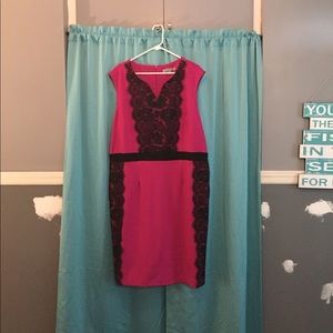 Fuchsia with black lace kneelength dress